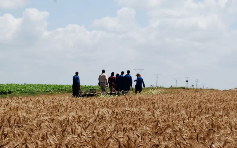Le Maroc fait le ménage dans les occupations illégales de terres