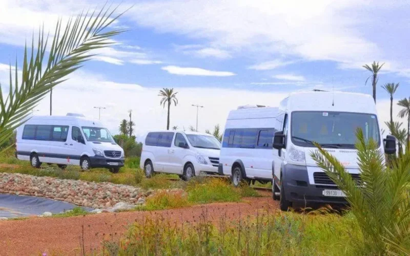 Nouveau cri de détresse des professionnels du transport touristique