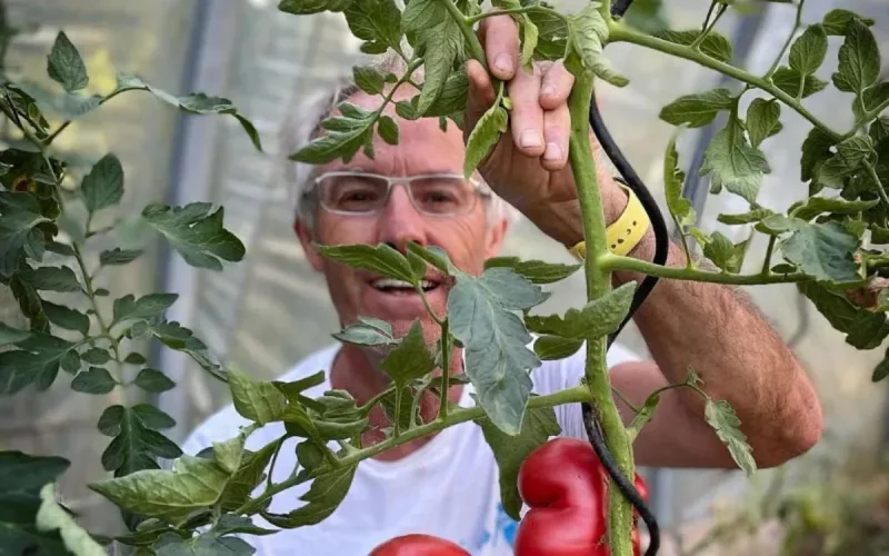 Un Marocain, champion du ... pâté en croûte en France