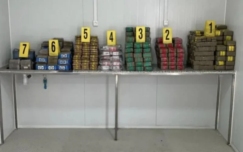 Un Marocain de France arrêté avec 260 kilos de haschisch à Tanger-Med