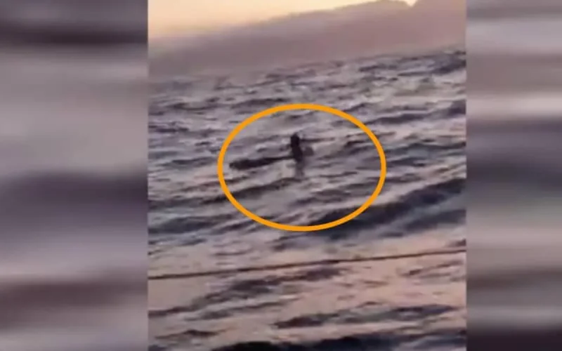 Un Marocain sauvé in extremis en mer (vidéo)