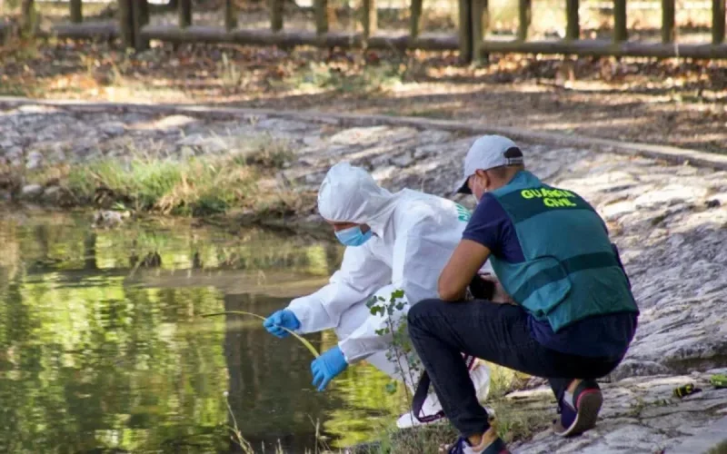 Décès tragique d'une fillette marocaine dans un étang en Espagne