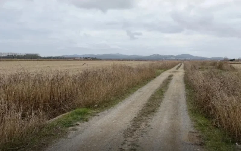 Fatima, Marocaine de 45 ans, victime d'un crime sexiste