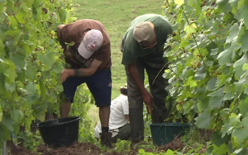 Un couple de MRE condamné des faits graves près de Montpellier