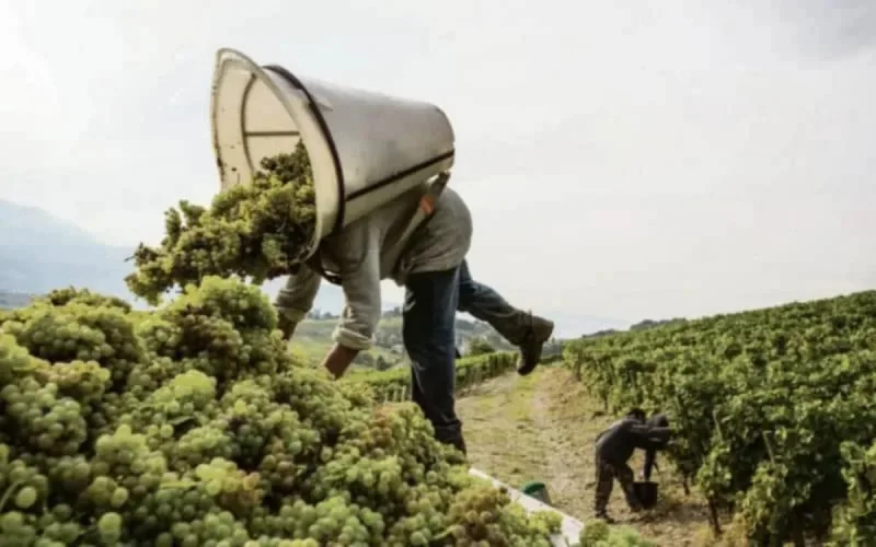 Des salariés marocains exploités par un réseau en France