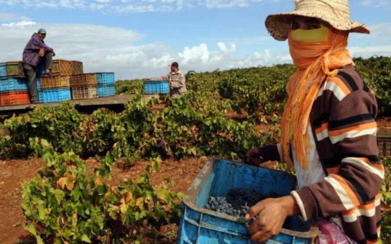 Enquête du HCP : les Marocains faiblement protégés dans le monde du travail