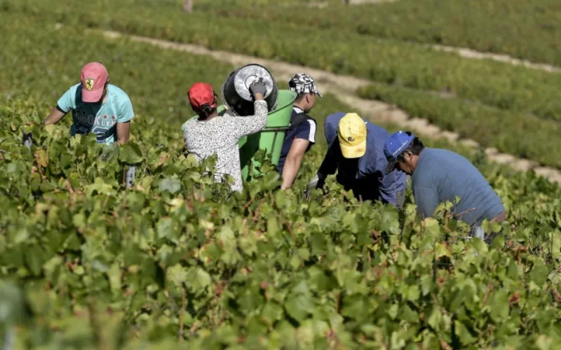 En Gironde, des Marocains dénoncent « une vaste arnaque »