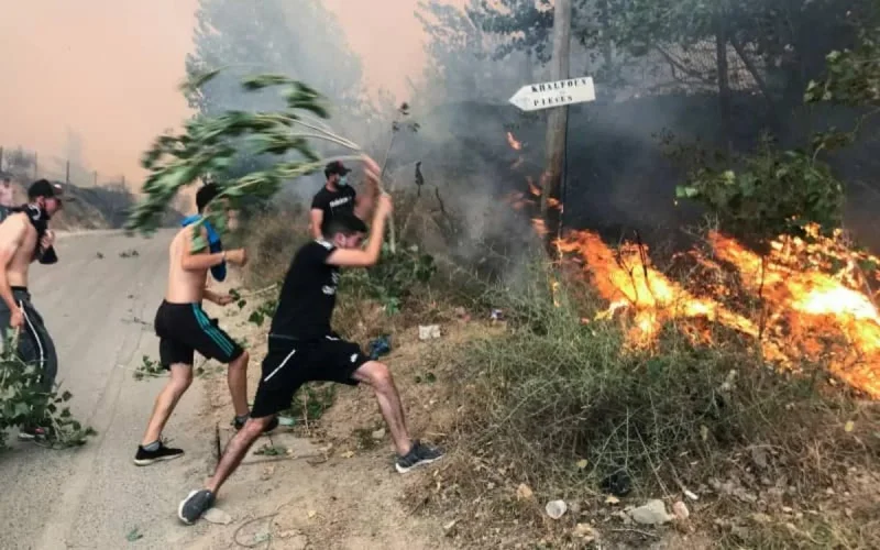 Incendies en Algérie : le Maroc propose son aide