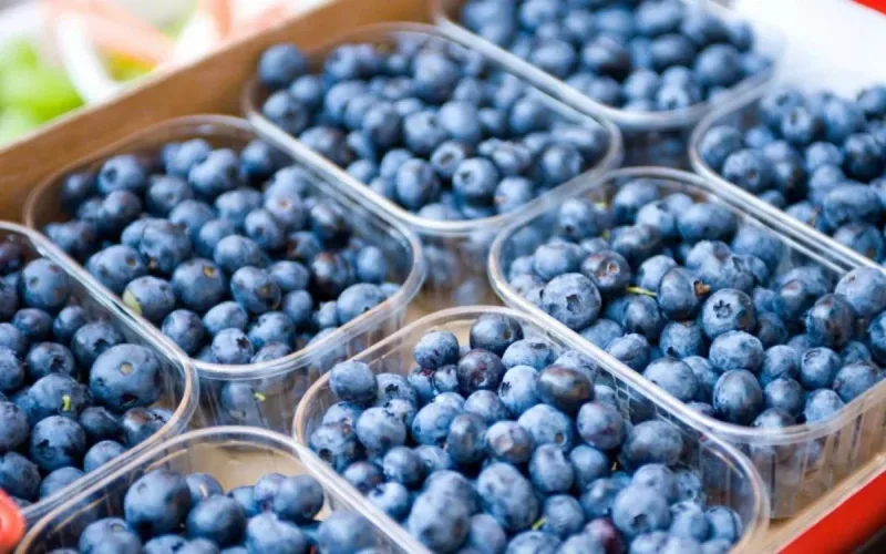 Des myrtilles marocaines indésirables en Europe