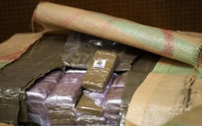 Nancy : un réseau de trafic de cannabis marocain démantelé, sept personnes arrêtées