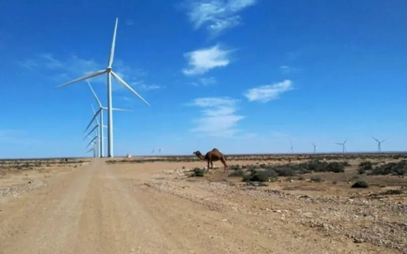 Maroc : vers la première centrale africaine alimentée par l'hydrogène vert