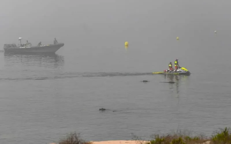 Mort à Sebta, Nawfal a été rapatrié au Maroc pour y être enterré