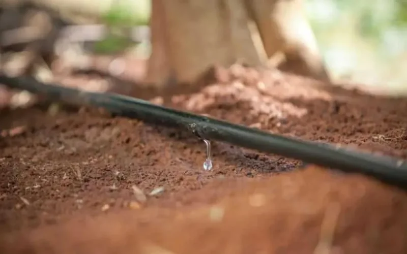 L'Israélien Netafim installe sa première usine en Afrique du Nord au Maroc