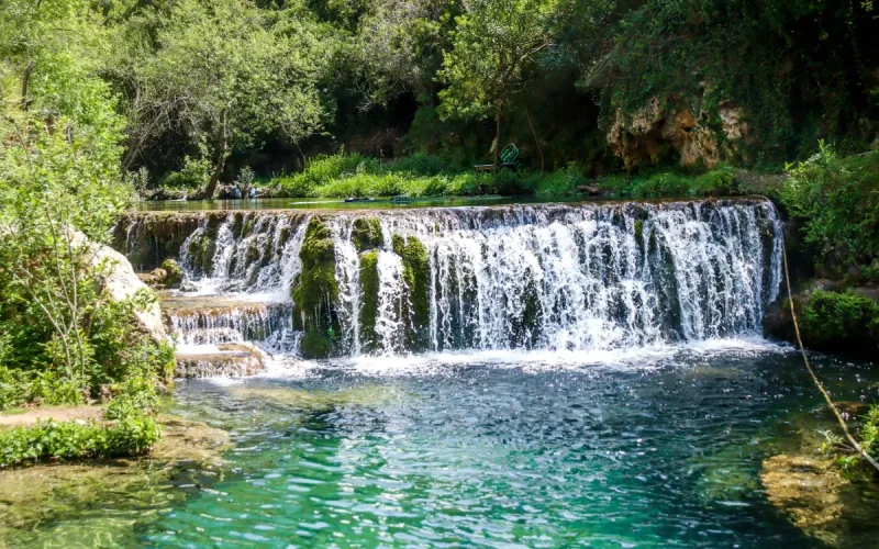 Métamorphose verte dans le nord du Maroc
