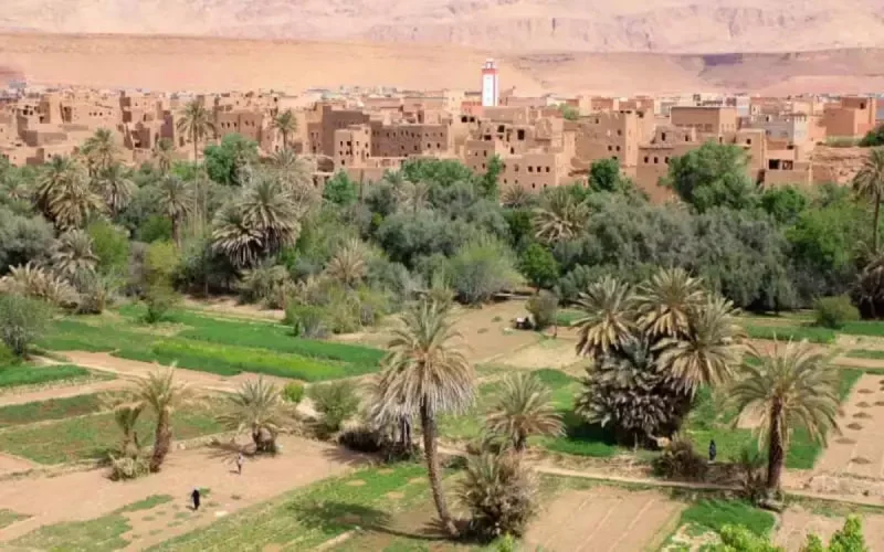 Les oasis marocaines en péril