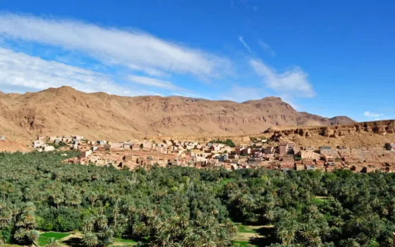 Au Maroc, les oasis se meurent 