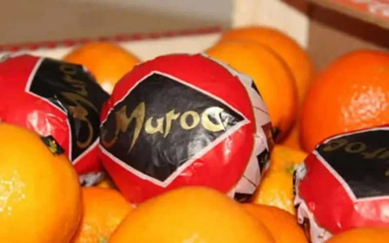 L'Espagne veut lutter contre la fraude sur les fruits et légumes marocains