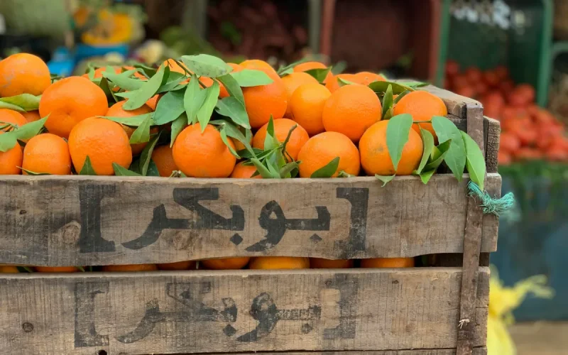 Pourquoi vos oranges vont devenir plus chères