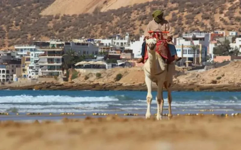 Ôvoyages revoie ses ambitions à la hausse au Maroc 