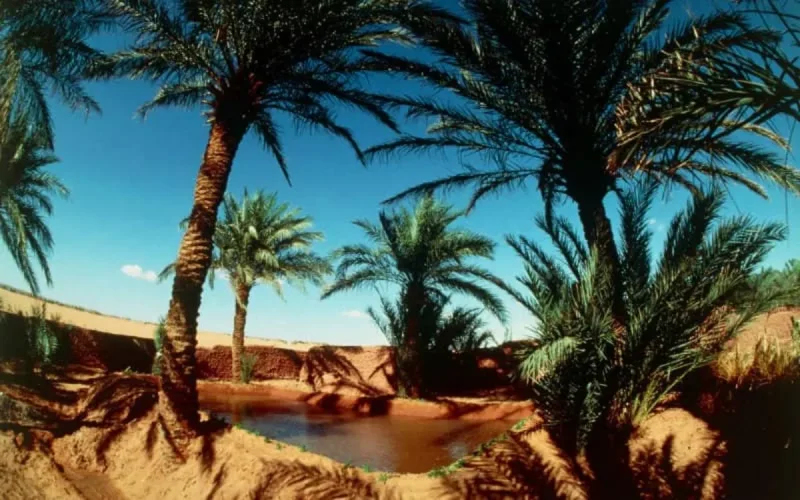 Tourisme : l'Algérie, future concurrente du Maroc ? 