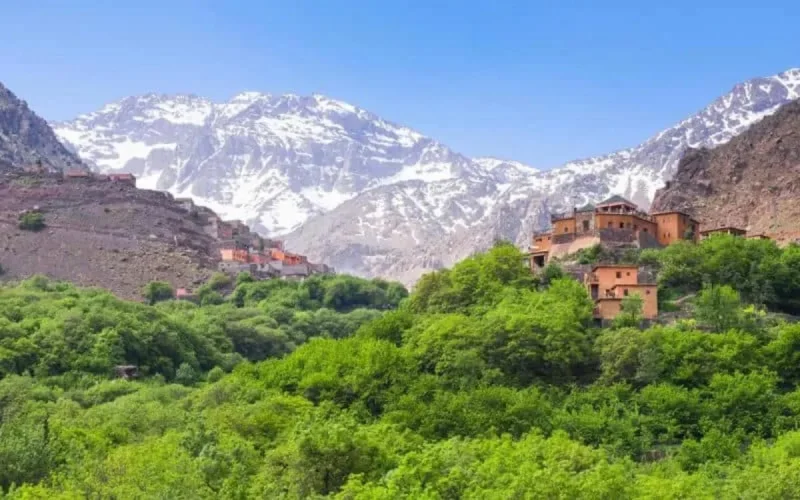 Le parcours historique des Lions de l'Atlas impacte positivement le tourisme