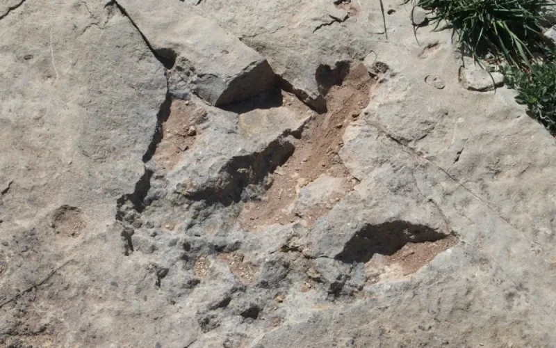 Dinosaures dans l'Atlas : Une enigme de 160 millions d'années