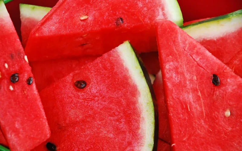 Pour contrer l'invasion des pastèques marocaines, l'Espagne met en avant les pesticides