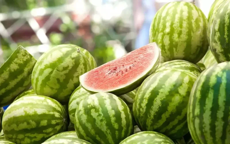 Pastèque : ce qui rend le produit Marocain si cher en Europe