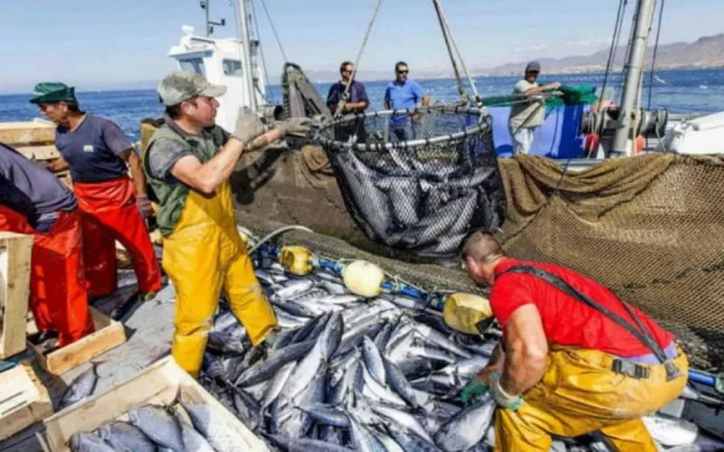 L'Espagne redoute la suspension de l'accord de pêche avec le Maroc