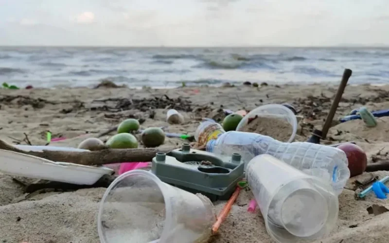 Tanger : l'état des plages inquiète