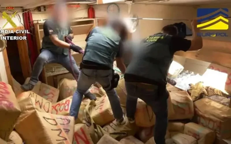 Espagne : un vaste réseau de haschisch démantelé, deux Marocains arrêtés