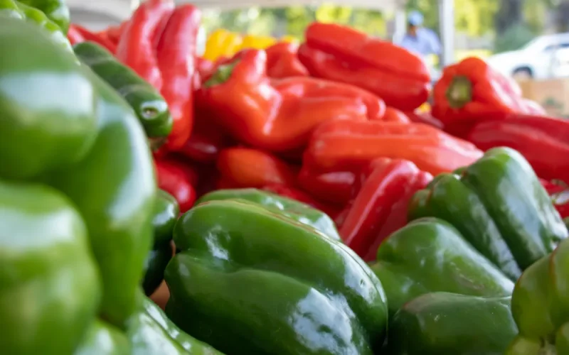 Alerte aux pesticides : Un lot de poivrons marocains bloqué in extremis en Allemagne