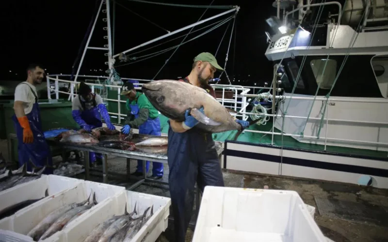 Accord de Pêche : l'Espagne ignore le Polisario