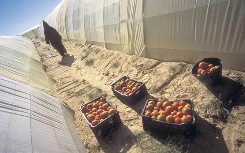 Sahara : le Polisario attaque le nouvel accord Europe-Maroc