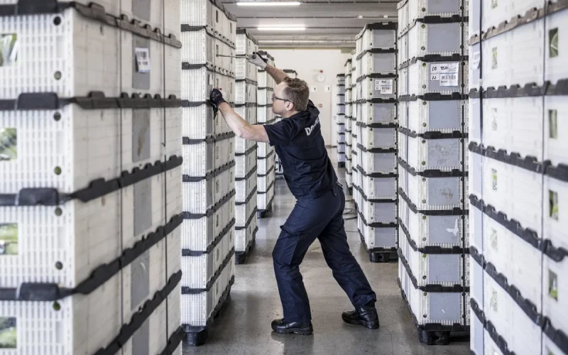 Neuf ans de prison et 1,2 million d'euros requis contre un Marocain aux Pays-Bas