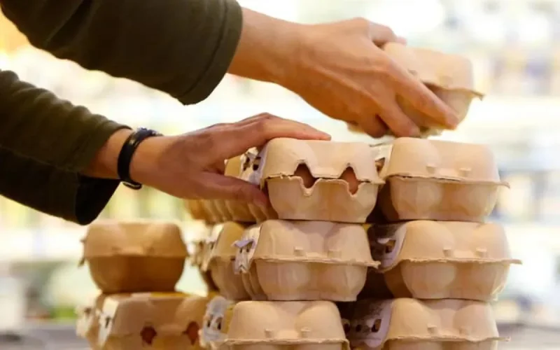 Forte augmentation du prix des oeufs au Maroc à quelques semaines du ramadan