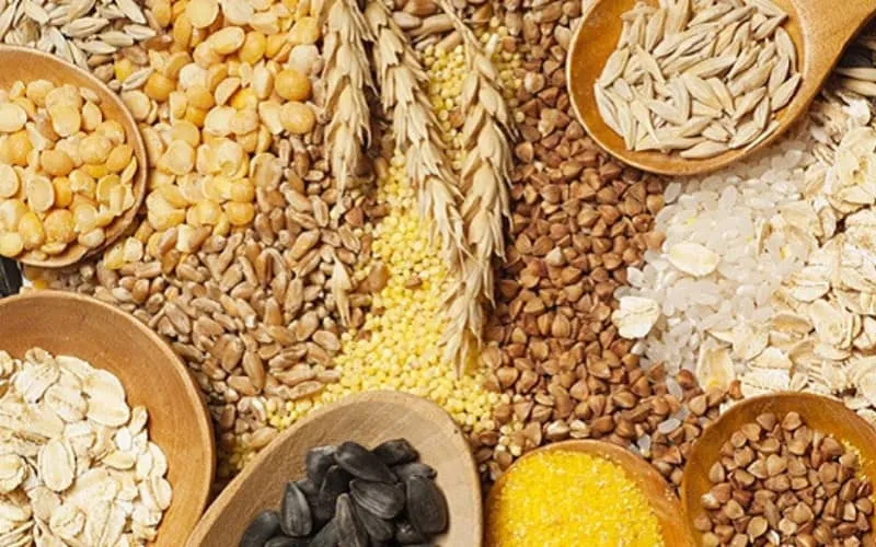 Crise céréalière : les producteurs français pour combler les besoins du Maroc