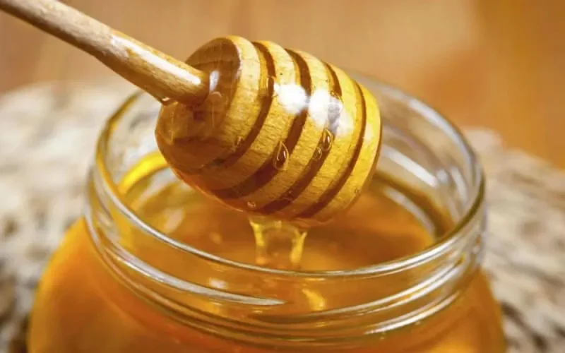 Apiculture : une année blanche pour le miel marocain ?