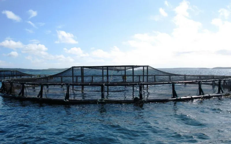 Israël lance un projet d'envergure au Sahara marocain