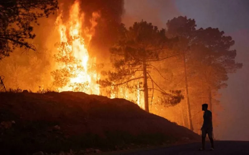 Incendies à M'diq : 4 pyromanes présumés arrêtés