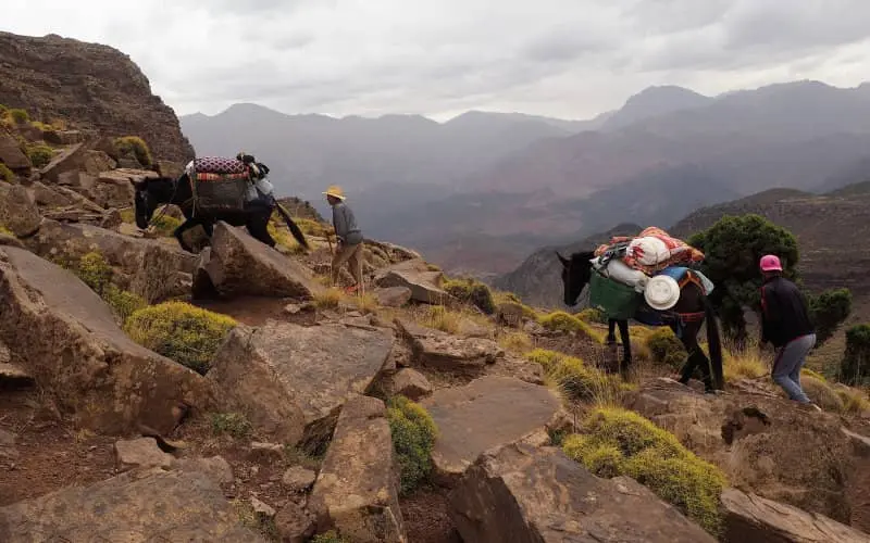 Maroc : le sport de montagne, une discipline ignorée par les autorités 