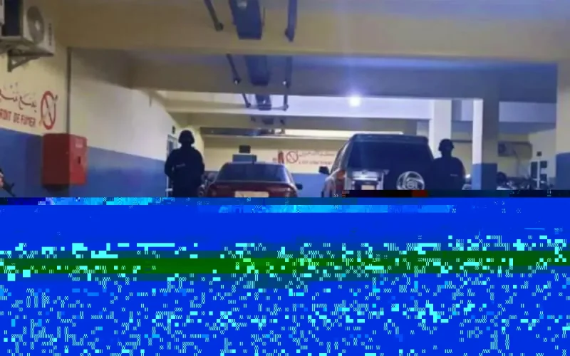 Haschich : d'importantes saisies depuis le début de l'année au Maroc