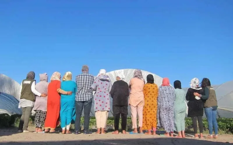 Les saisonnières marocaines, victimes silencieuses d'abus sexuels en Espagne