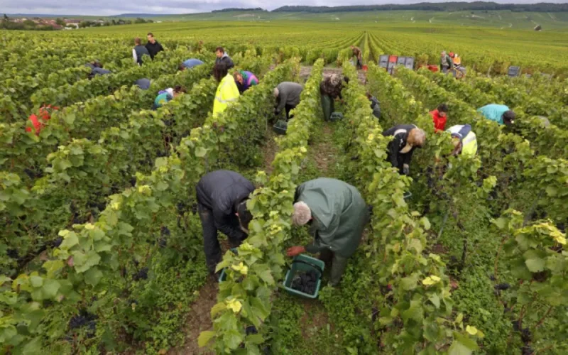 L'Europe délivre un nombre record de permis de travail aux Marocains