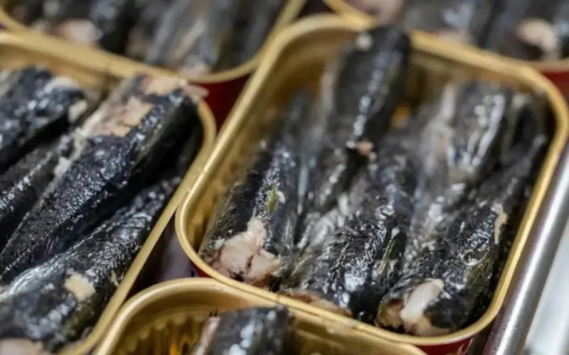 Pénurie de sardines en France : le Maroc en cause