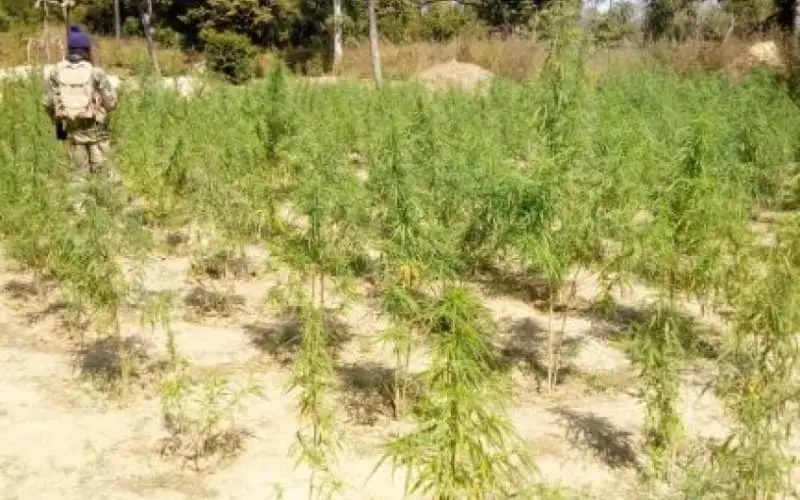 Le Maroc espionne-t-il le Sénégal ? 