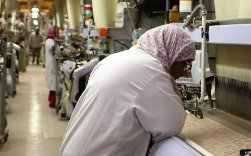 Le cannabis pour renforcer la compétitivité du textile marocain