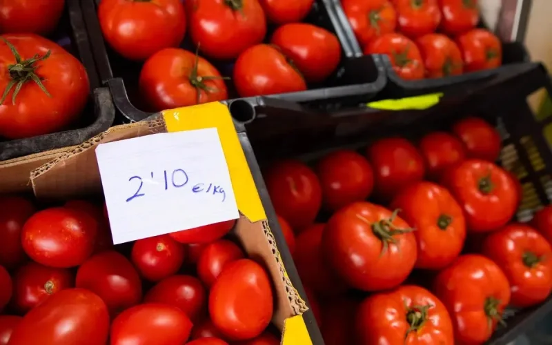Fin de la tomate espagnole ? Le Maroc bouscule le marché européen