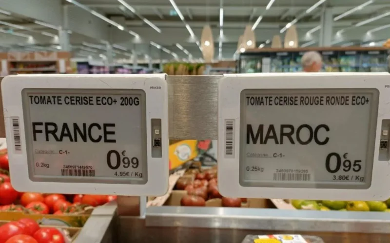 Des agriculteurs français en guerre contre la tomate marocaine 