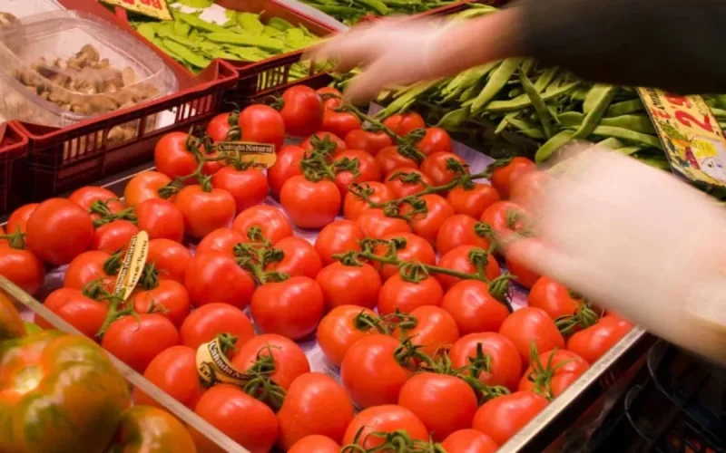 Les médias français en guerre contre la tomate marocaine